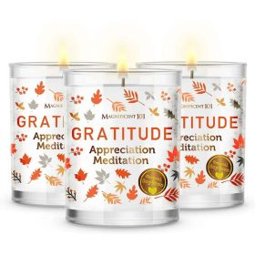 Magnificent 101 Long Lasting Set of 3 Gratitude Smudge Candles | 3.5 Oz Each - 42 Hour Burn |Soy Wax Candle for House Energy Cleansing