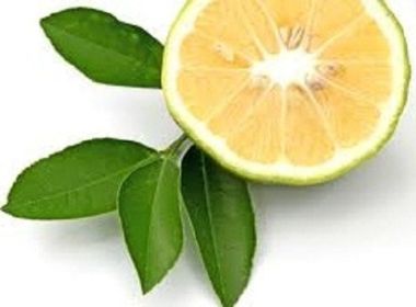 Angel's Mist Bergamot Essential Oil