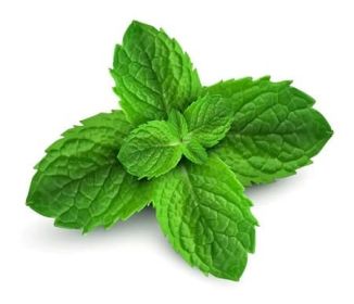 Angel's Mist Peppermint Essential Oil